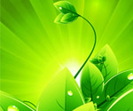 Vector Background with Green Leaves